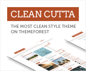 The Most Clean WordPress Theme